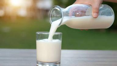  100% शुद्ध और ताजा गाय का दूध, प्रोटीन से भरपूर 