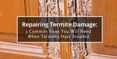 Termite Pest Control Service