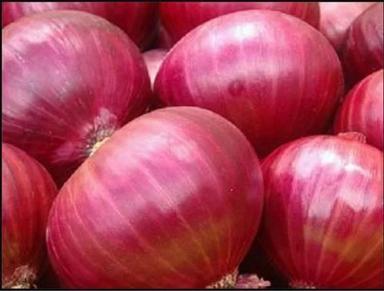 Hygiencially Packed Fresh Red Onion