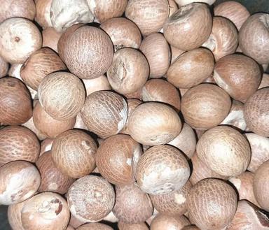 A Grade 99.9 Percent Purity Nutrient Enriched Healthy Common Cultivated Areca Nut