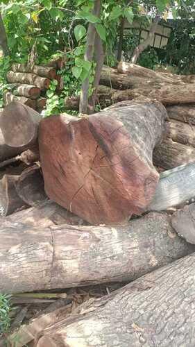 Tun round log