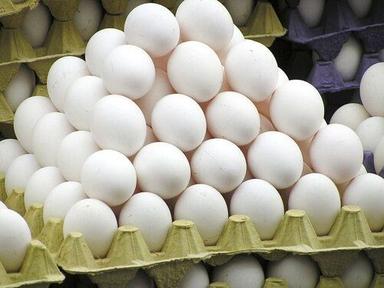White Fresh Country Poultry Eggs