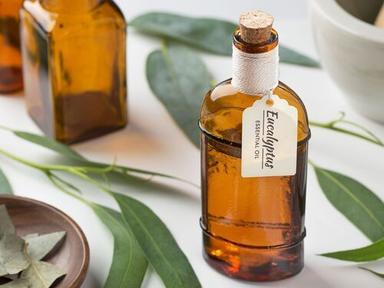 Eucalyptus Essential Oil Odour:: Characterstic Odor