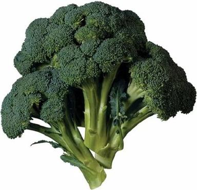 A Grade Green Broccoli