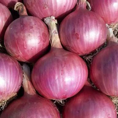 High Nutritional Fresh Red Onion