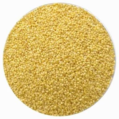Free From Impurities Organic Foxtail Millet