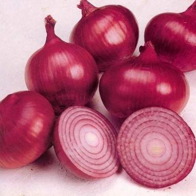 Indian Origin Naturally Grown Fresh Red Onion