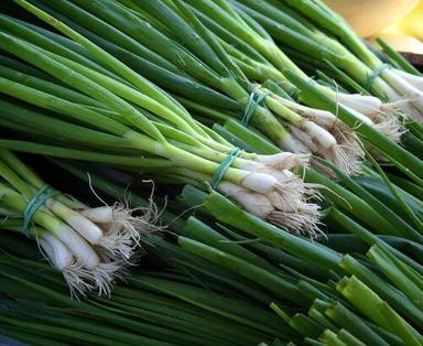 Green Spring Onion Moisture (%): 95%
