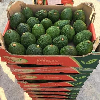 Kenya Origin Whole Fruit Export Fresh Avocado