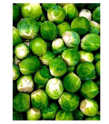 A Grade Indian Origin Commonly Cultivated 100 Percent Purity Fresh Green Brussels Sprouts