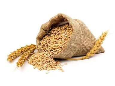 Organic No Artificial Flavor Wheat Grain
