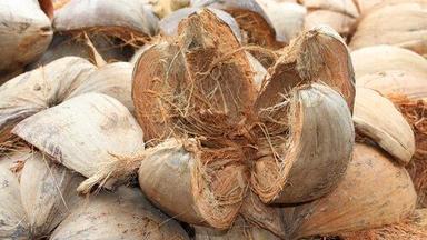 A Grade Coconut Husk For Mattress Use