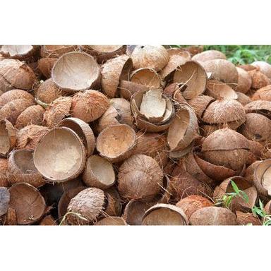 Brown Color Round Shape Coconut Shell