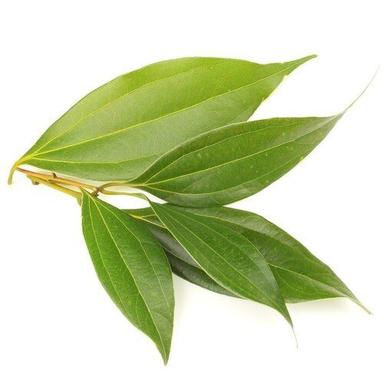 100% Organic Natural Green Cinnamon Tea Leaf
