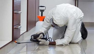 Pest Control Services For House, Office , Colloge, Hospital
