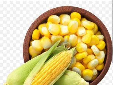 100% Organic Natural Yellow Fresh Corn Maize