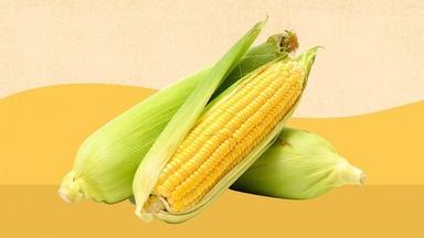 100% Natural And Pure Organic Baby Corn For Food Grade