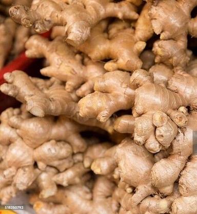 Indian Origin Naturally Grown Fresh Ginger