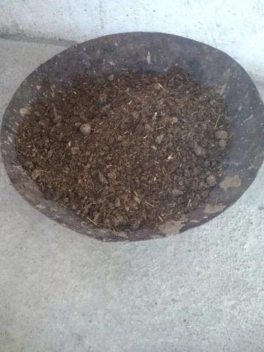 Brown Color Powder Form Cow Dung Manure
