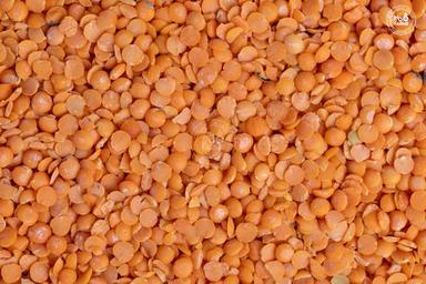 100% Natural Organic A Grade Red Masoor Dal For Cooking