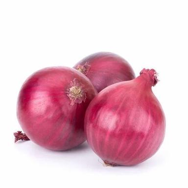 Fresh Organic Red Onion A Grade