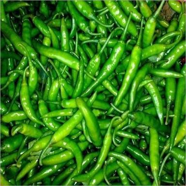 100% Pure Organic A Grade Natural Fresh Green Chilli