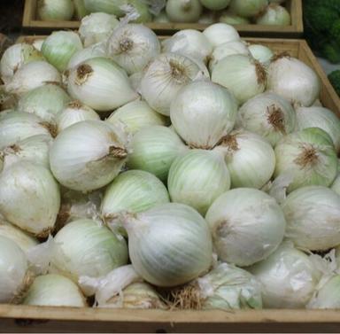 Natural Organic Premium White Onion