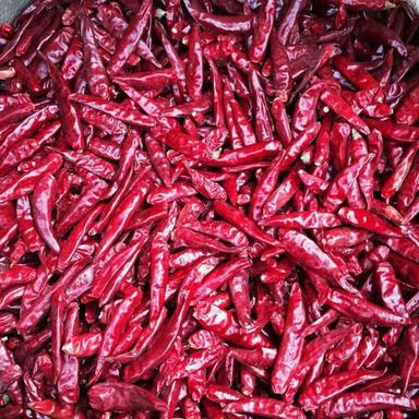 Dried And Spicy Red Chilli