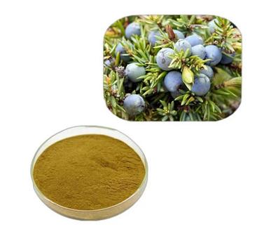 100% Natural And Pure Organic Juniper Berry Extract