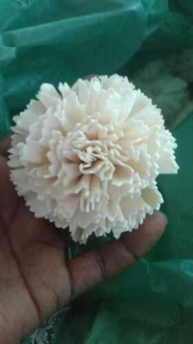 Natural Premium White Carnation Flower
