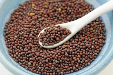 Black Superior Rich In Taste Mustard Seed For Cooking