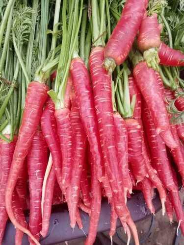 Healthy And Natural Organic Fresh Red Carrot