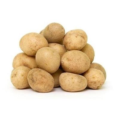 A Grade 100 Percent Purity Indian Origin Commonly Cultivated Fresh Potato