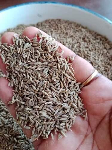 A Grade Indian Origin Common Cultivated 100 Percent Purity Dried Cumin Seed