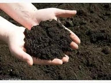 Organic Vermicompost Fertilizer For Plants
