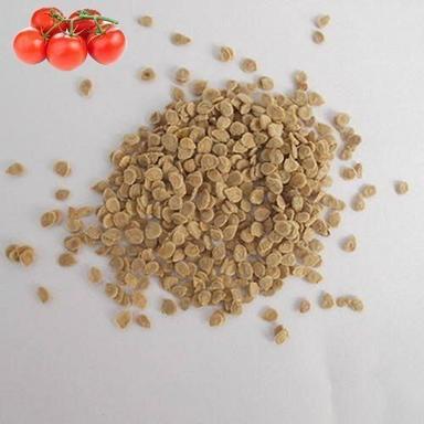 Brown Tomato Seeds, for Agriculture, Purity : 98%