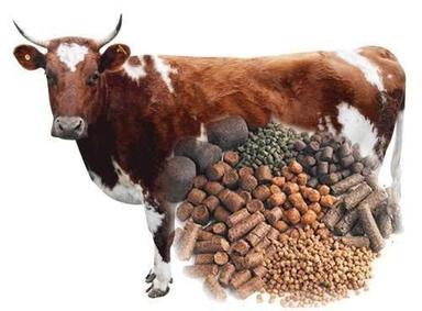 Multi Color Any Shape Dry Cattle Feed For Animal