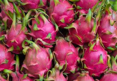 A Grade Common Cultivated Nutrient-Enriched Healthy Natural Sweet Fresh Dragon Fruits