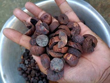 A Grade Organic Betel Nut