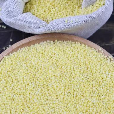 Commonly Cultivated Organic Broom Corn Millet