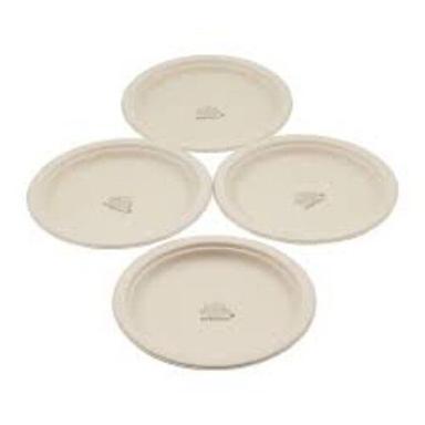 Ivory Event Sugarcane Bagasse Disposable Plate
