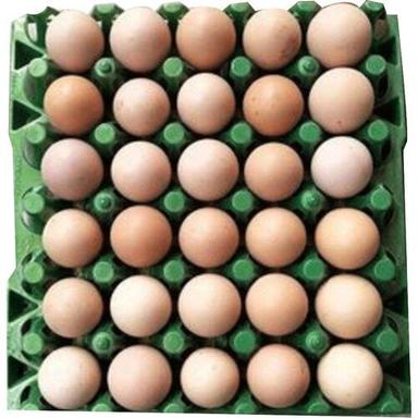 fresh eggs fresh eggs Packaging Type  Tray