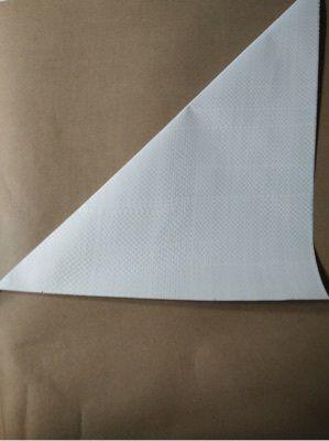 Eco Friendly HDPE Laminated Paper Bag