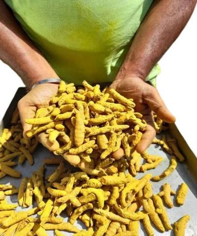 Organic and Dried Turmeric Finger
