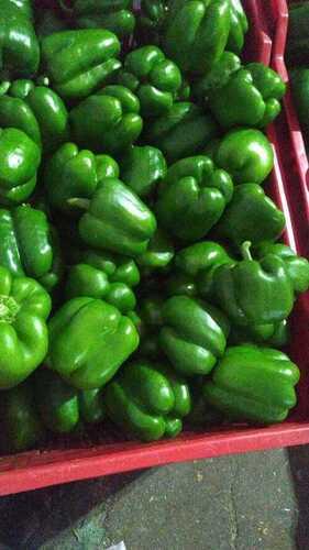 Fresh Green Capsicum for Cooking