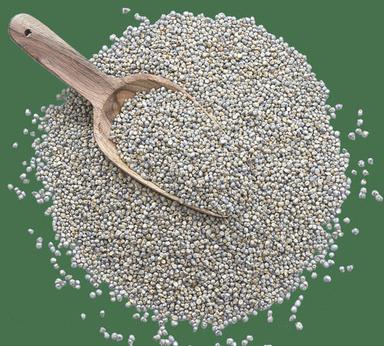 Premium Grade Green Millet Bajra