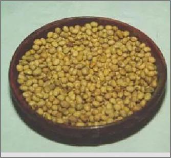 Common Roasted Soya Nuts (Soyabean)