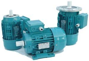 Turquoise Ms Series Three Phase Asynchronous Motors