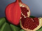 100% Organic Farm Fresh A Grade Natural Red Pomegranates