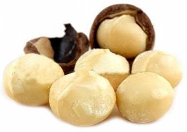 Common Indian Origin Macadamia Nuts